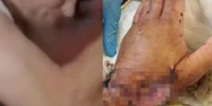 Ator foi atacado por tubarão após se arriscar em alto mar (Imagem: Montagem)
