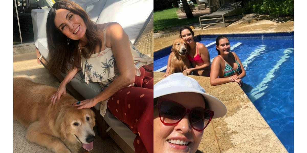 Fátima Bernardes anuncia perda na família (Foto: Reprodução)