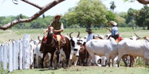 Foto: Ruan Rocha/Arquivo Pessoal