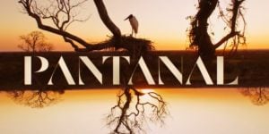 Novela Pantanal está sendo exibida atualmente em nova versão pela Globo (Foto: Reprodução/Globo)