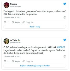  Lagarto chamou a atenção na piscina do BBB22 (Foto: Reprodução / Twitter) 