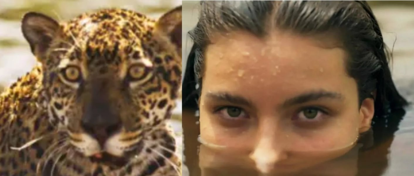 http://tvfoco.uai.com.br/wp-content/uploads/2015/05/Daniela-Mercury.jpg