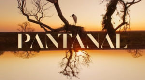 Atriz deixa elenco de Pantanal (Foto: Reprodução / Globo)