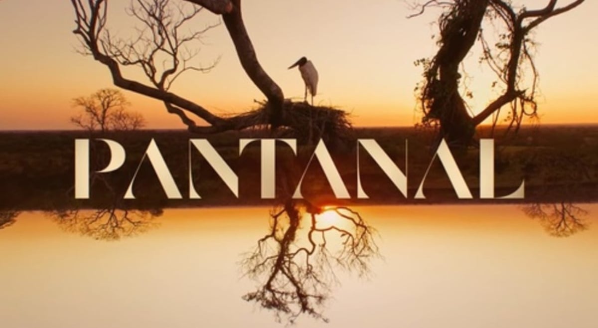 http://tvfoco.uai.com.br/wp-content/uploads/2015/05/Daniela-Mercury.jpg
