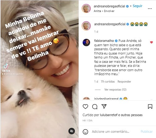 Andrea de Nóbrega lamentou a morte de sua cachorrinha nas redes sociais