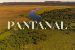 Pantanal  (Foto: Reprodução / Globo)