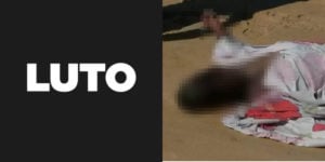 Imagem PreCarregada