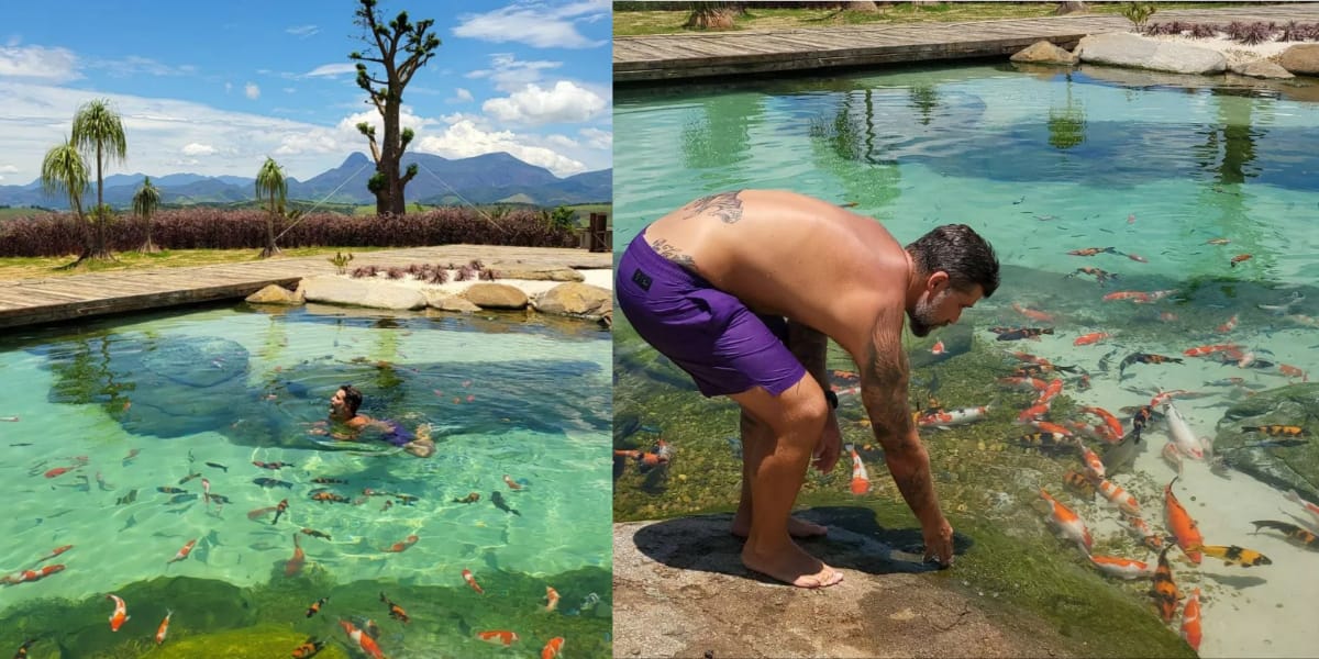 Lago particular de Bruno Gagliasso, com direito a muitos peixes (Reprodução: Montagem TV Foco)