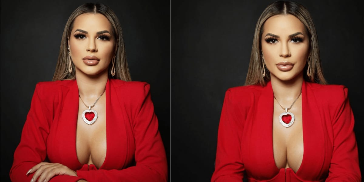 Vestido escolhido por Deolane Bezerra para a pré-estreia de 'A Fazenda' (Reprodução: Instagram)