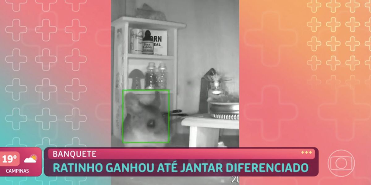 Ana Maria mostra imagens de ratinho ao vivo (Reprodução) Ana Maria mostra imagens de ratinho ao vivo (Reprodução)