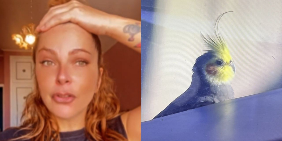 Ex-A Fazenda, Bruna Tang, se desesperou ao ver calopsita na TV - Reprodução/Twitter e TV Globo