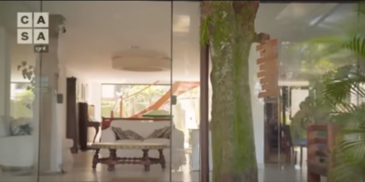 Manoel Soares mora em mansão no meio de ilha com quadra, obras de artes e sala gigante com árvore no meio