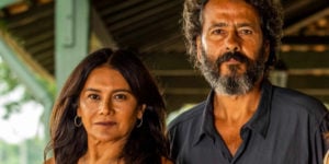 Pantanal deverá ganhar especial na Globo no fim do ano (Foto: Reprodução)