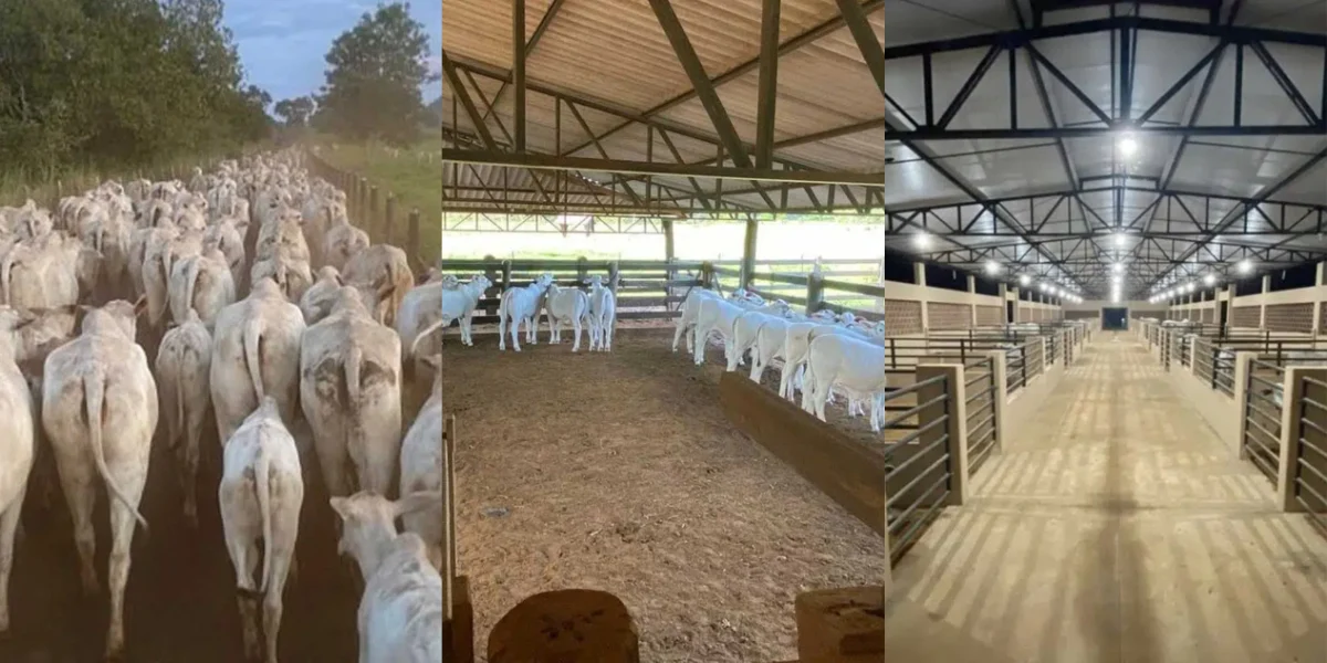 A Fazenda da dupla sertaneja Henrique e Juliano é tão linda e luxuosa que causa inveja em qualquer um - Foto Reprodução