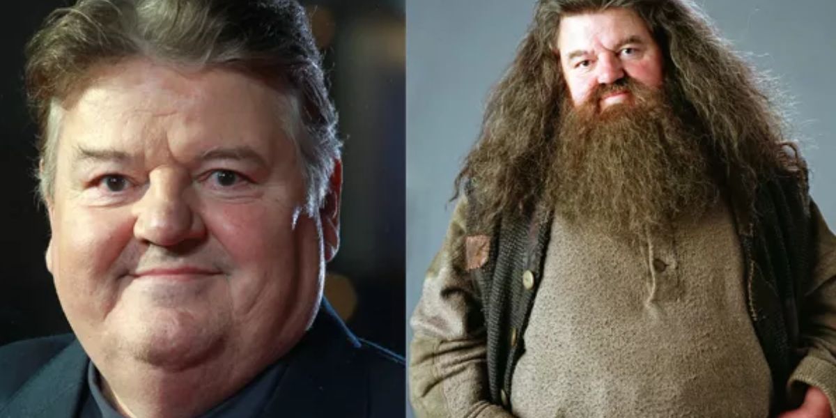 Estrela de Harry Potter tem morte confirmada (Reprodução)