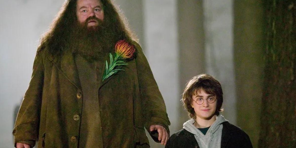 Estrela de Harry Potter tem morte confirmada (Reprodução)