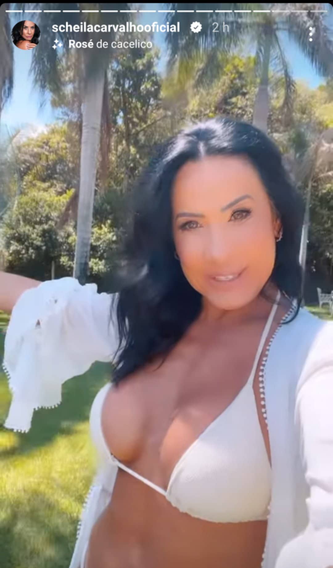 Scheila Carvalho, exibiu suas curvas muito saradas em cliques de biquíni e impressionou com seu corpão - Foto Reprodução Instagram