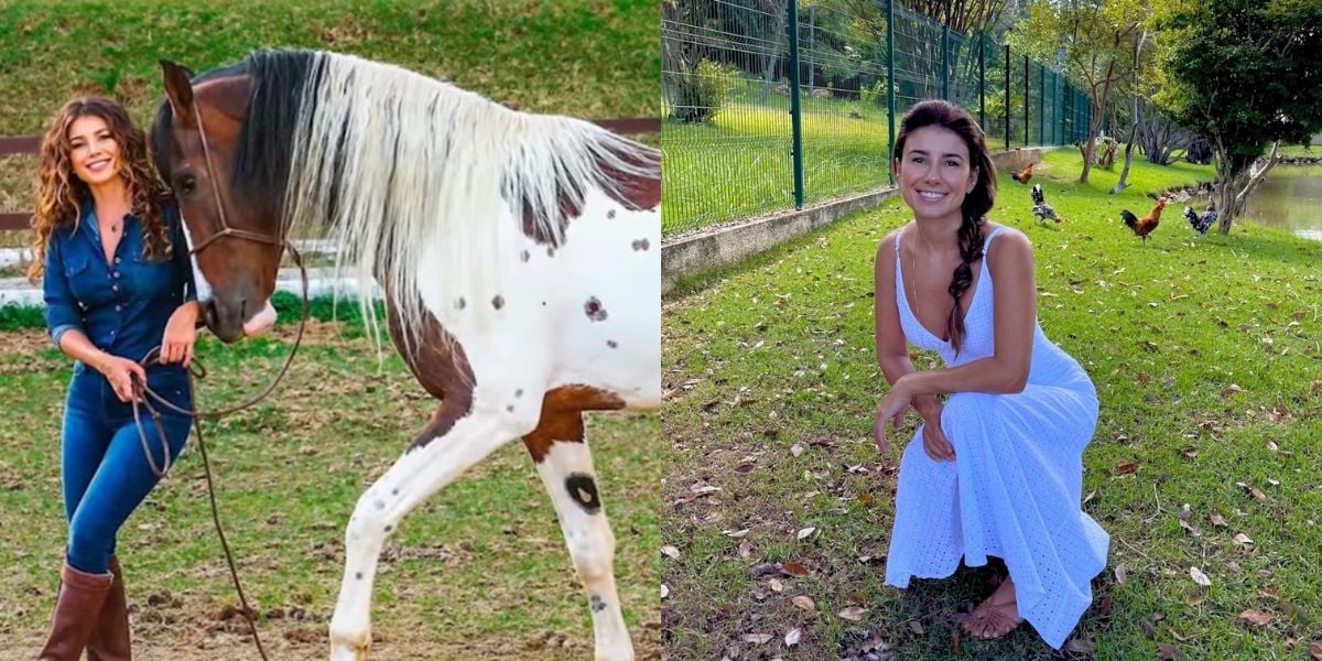 Paula Fernandes tem vários animais em sua fazenda