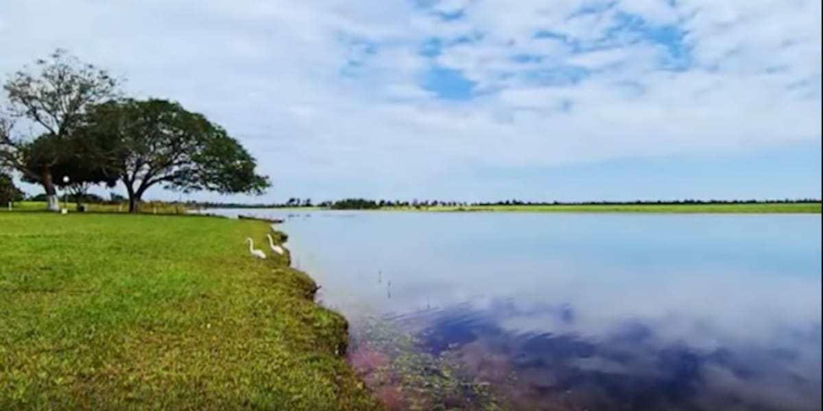 Fazenda Marrone (Reprodução: Youtube)