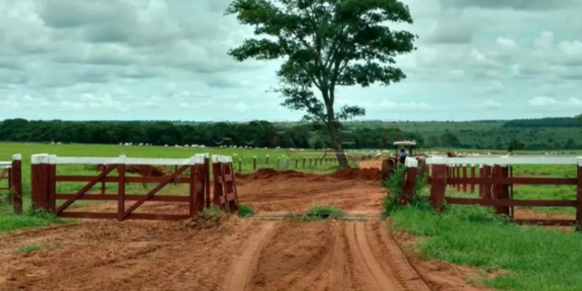 Fazenda Marrone (Reprodução: Youtube)