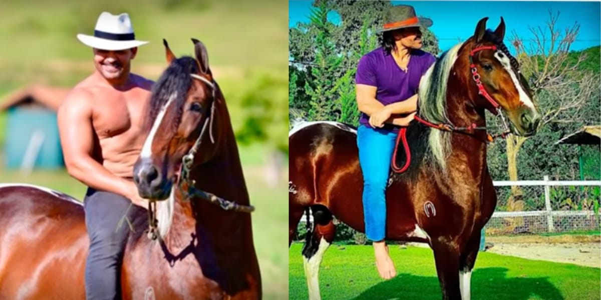 A grande criação de cavalo do sertanejo (Reprodução: Youtube)