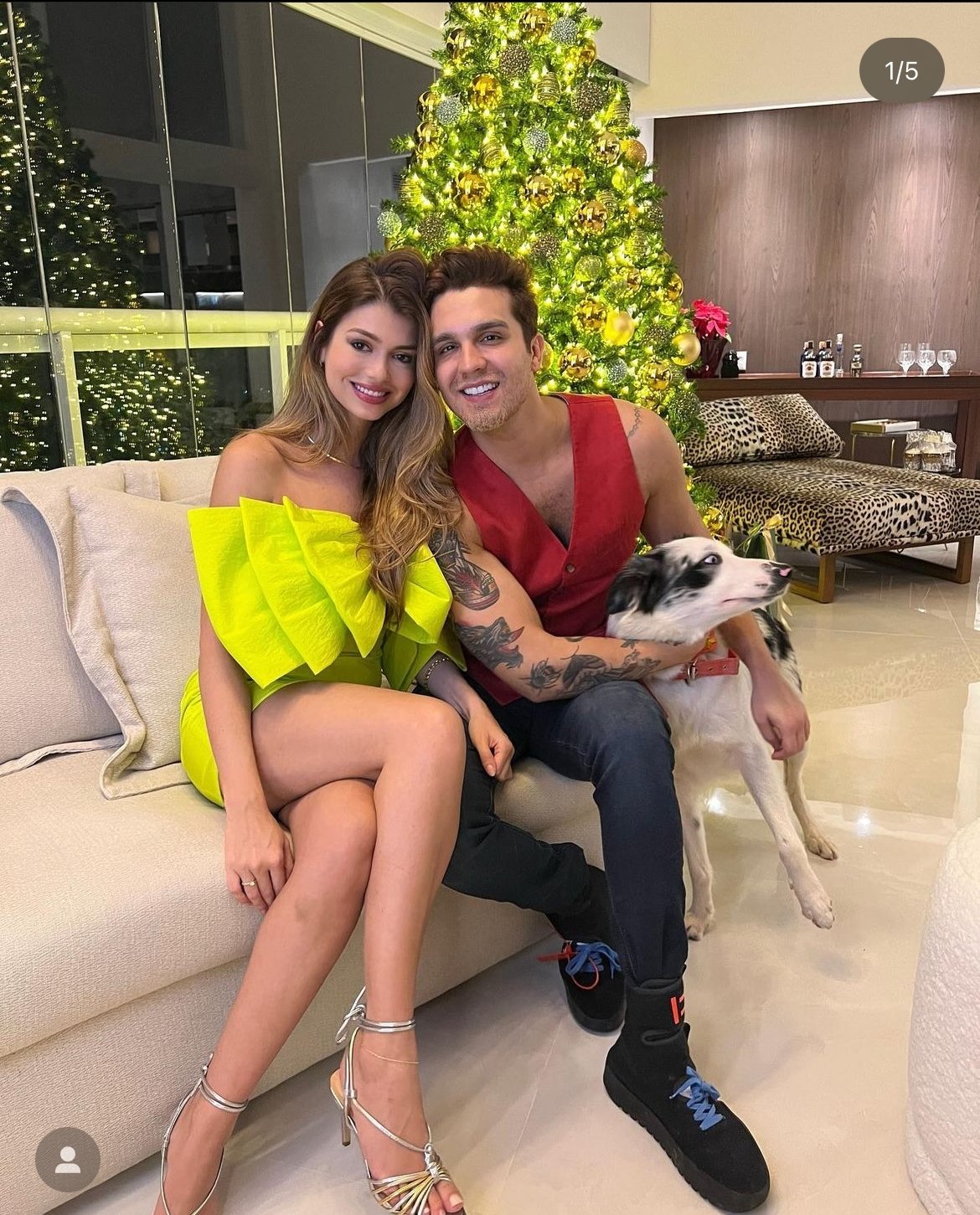 Após viver um relacionamento de anos, o famoso cantor Luan Santana assumiu o que queria de fato - Foto Reprodução
