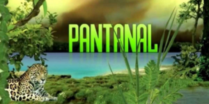 Imagem card com fundo