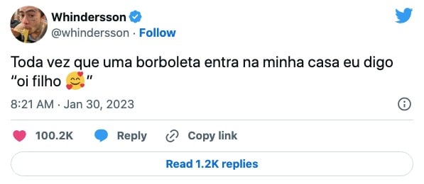 Whindersson Nunes confessa que sente o filho, João Miguel, que faleceu em 2021 após o nascimento, por perto ao ver borboletas (Foto: Reprodução / Twitter)