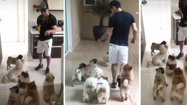 O famoso cantor sertanejo, Zezé Di Camargo, fora dos palcos, é totalmente diferente do que muitas pessoas podem imaginar - Foto Reprodução