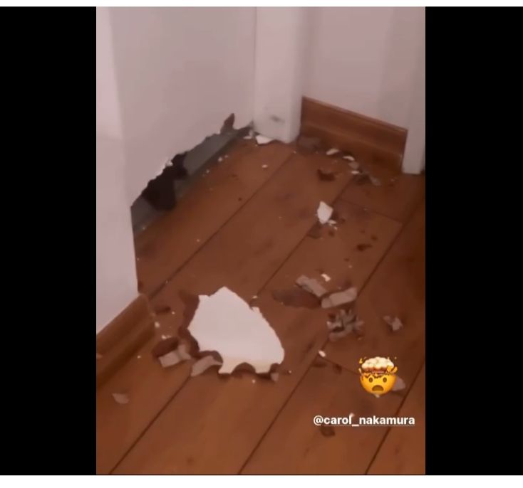 Danni Suzuki mostra imagens da sua casa destruída e assusta Passou dos limites - Foto Reprodução