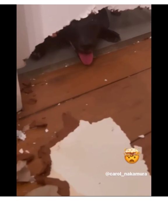 Danni Suzuki mostra imagens da sua casa destruída e assusta Passou dos limites - Foto Reprodução