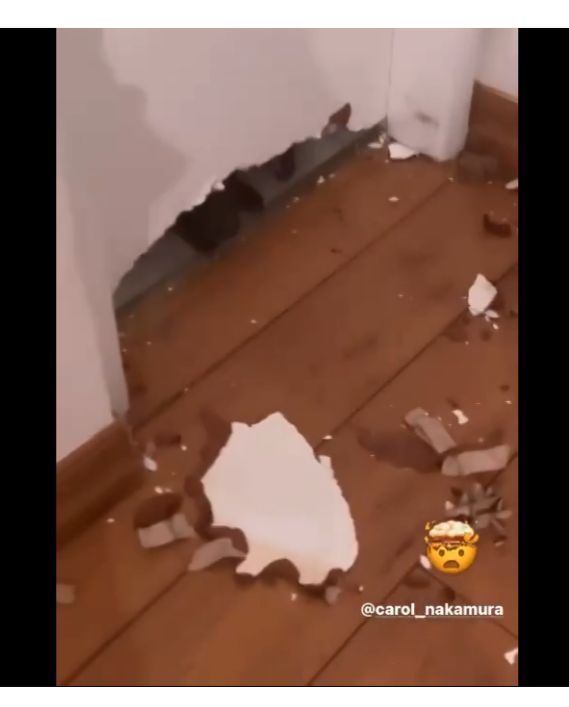 Danni Suzuki mostra imagens da sua casa destruída e assusta Passou dos limites - Foto Reprodução