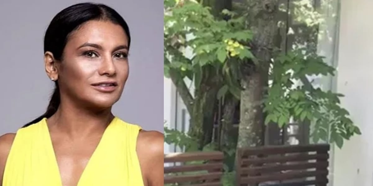 http://tvfoco.uai.com.br/wp-content/uploads/2015/05/Daniela-Mercury.jpg
