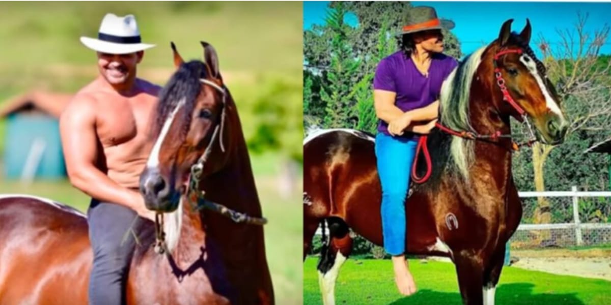 O artista é apaixonado por cavalos e tem uma grande criação (Reprodução: Youtube)