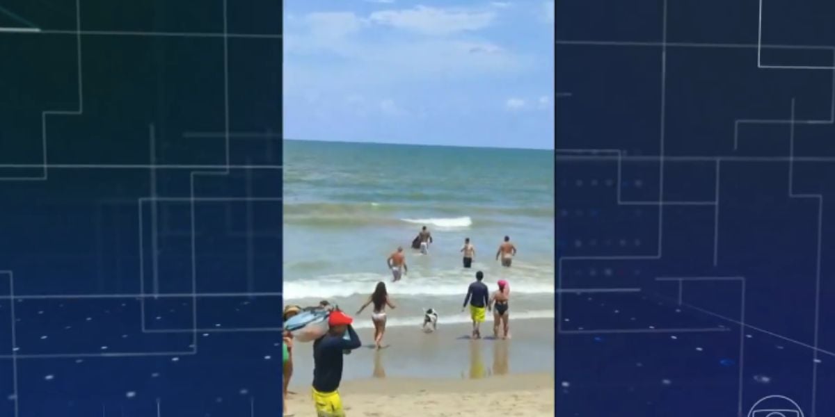 Ana Paula Araújo preocupa Brasil com notícia sobre ataques de tubarão (Foto: Reprodução / Jornal Nacional da Globo)