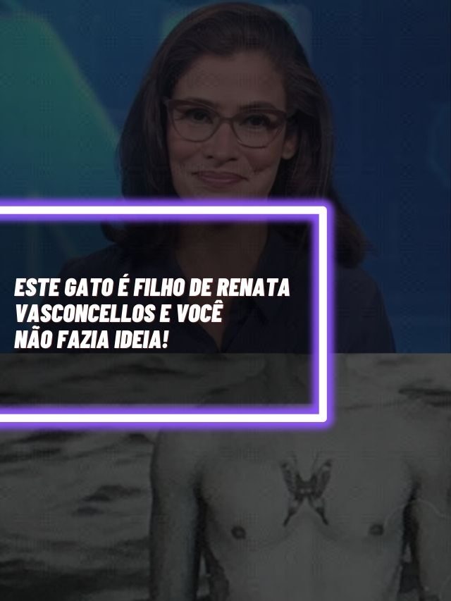 Este gato é filho de Renata Vasconcellos e você não fazia ideia!