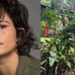 Nanda Costa / Casa da atriz em Paraty - Foto Montagem TVFoco