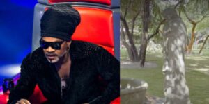 Jardim colossal, lago e estátuas caras A mansão luxuosa que vive Carlinhos Brown - Foto: Reprodução