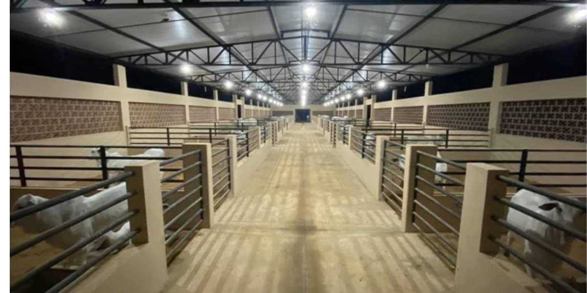 As mais de 90 baias onde os animais ficam alocados (Reprodução: Youtube)