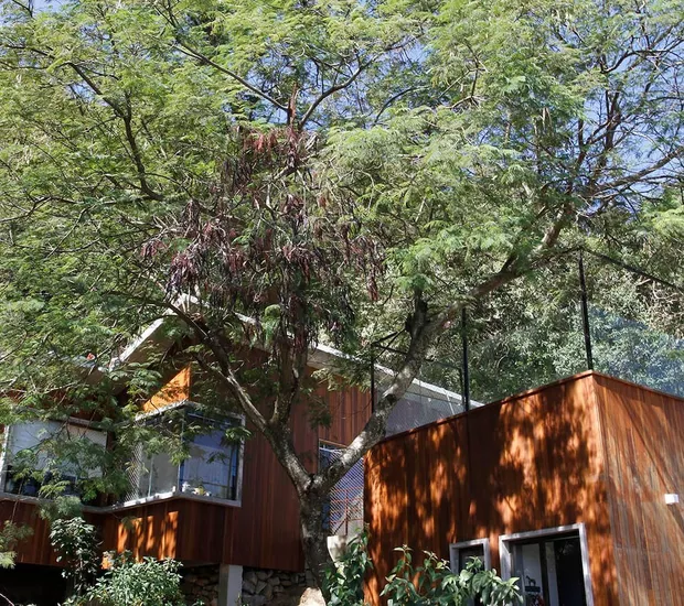 Fachada com detalhes de madeira da Casa na Árvore do ator, Caio Blat, no Rio de Janeiro - Foto Reprodução Internet http://tvfoco.uai.com.br/wp-content/uploads/2015/05/Daniela-Mercury.jpg