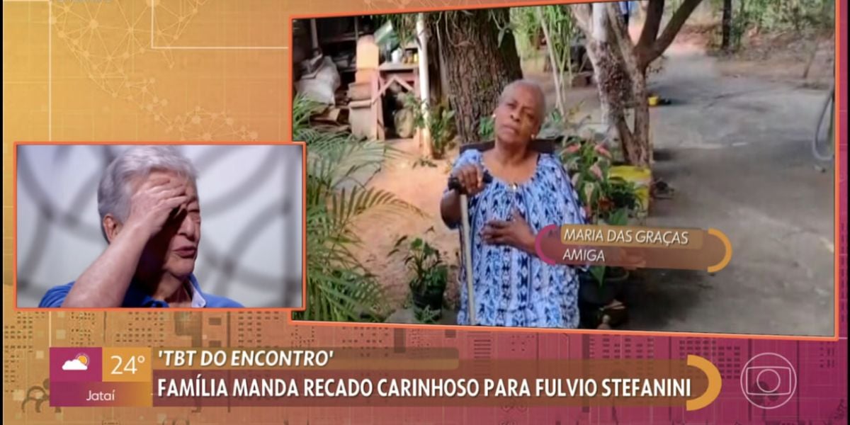 Fúlvio Stefanini no Encontro (Foto: Reprodução / Globo)