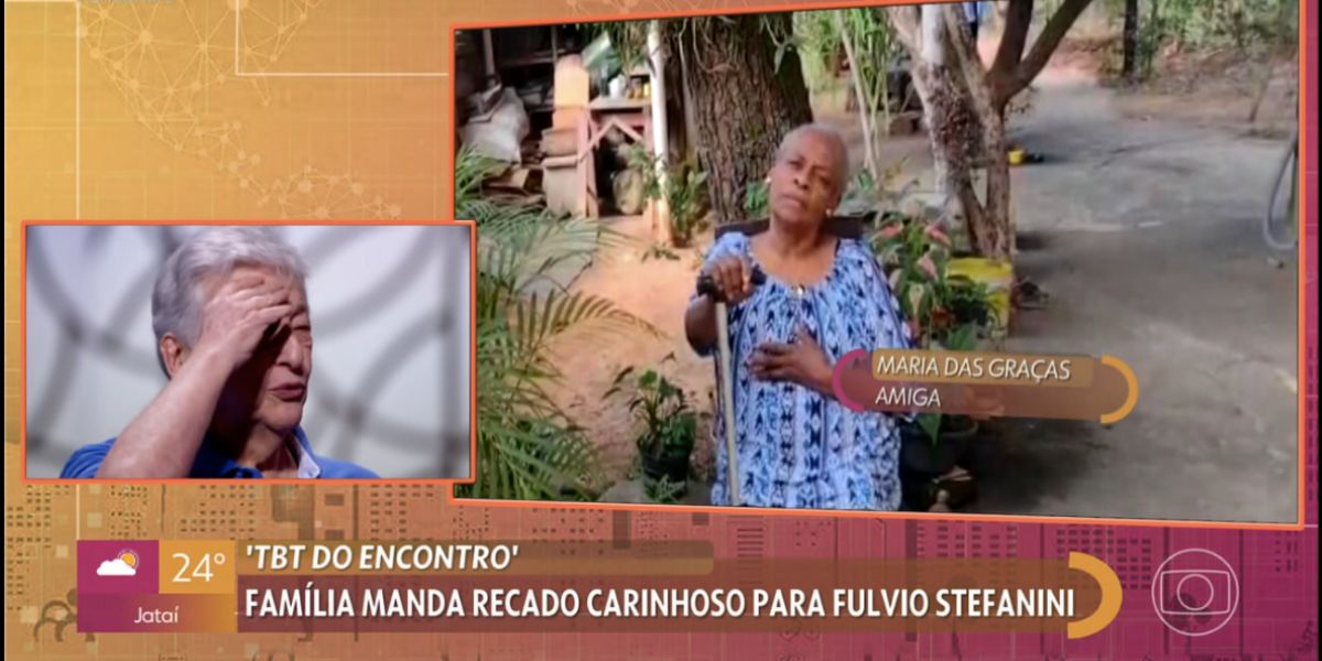 Fúlvio Stefanini no Encontro (Foto: Reprodução / Globo)