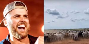 O cantor sertanejo Zé Neto e sua criação de gado - Foto Reprodução Internet