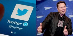 Elon Musk e selo do Twitter (Foto: Reprodução / Internet)