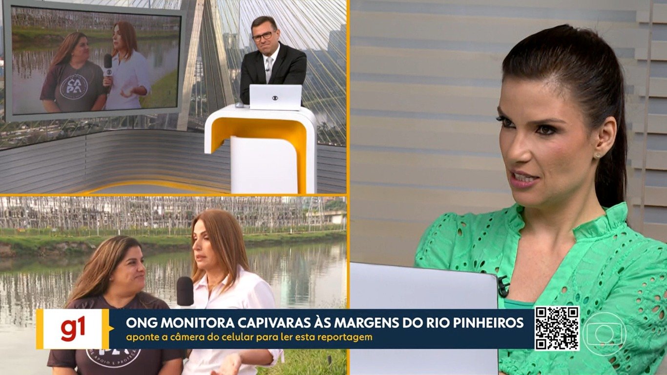 Os jornalistas do BDSP se divertiram ao falar sobre as capivaras (Reprodução: Globo)