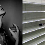 5 Perfumes femininos que foram extintos das prateleiras (Foto Reprodução/Montagem/Tv Foco)