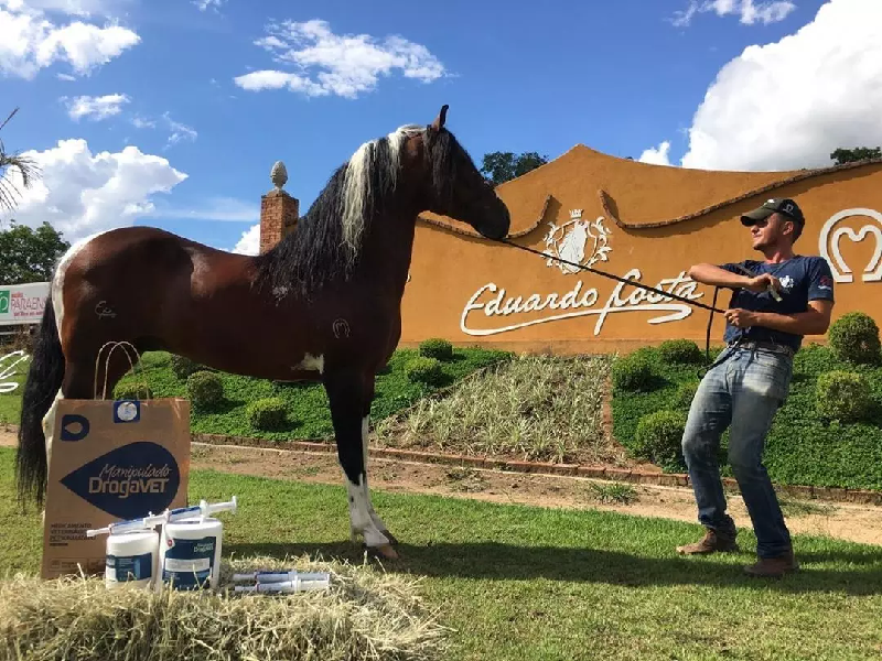 A empresa do sertanejo que vende cavalos de luxo (Foto: Reprodução/ Internet)