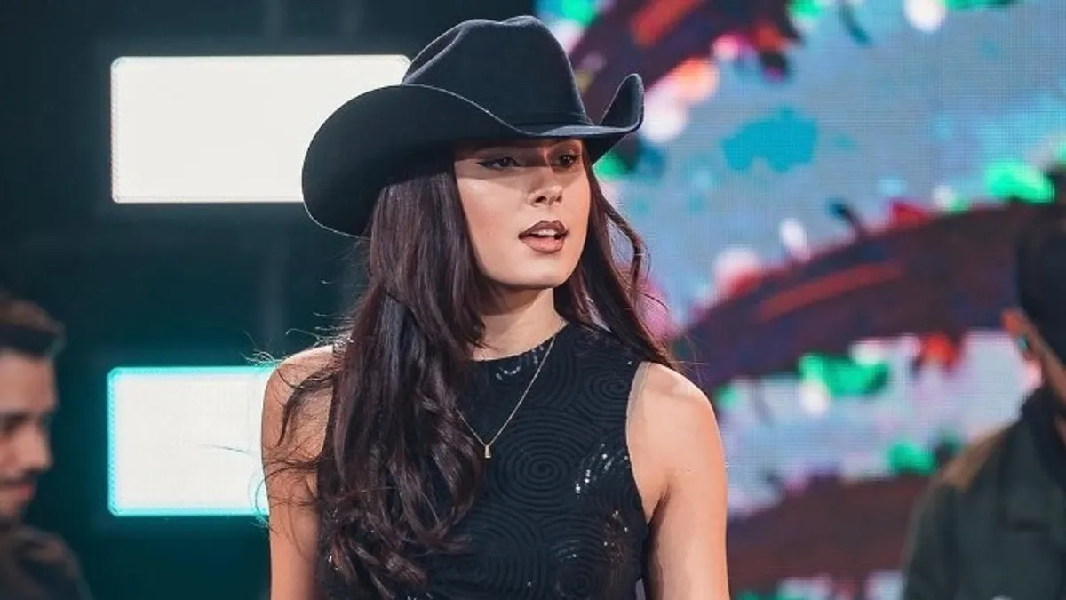 Ana Castela (Foto: Reprodução/ Internet)