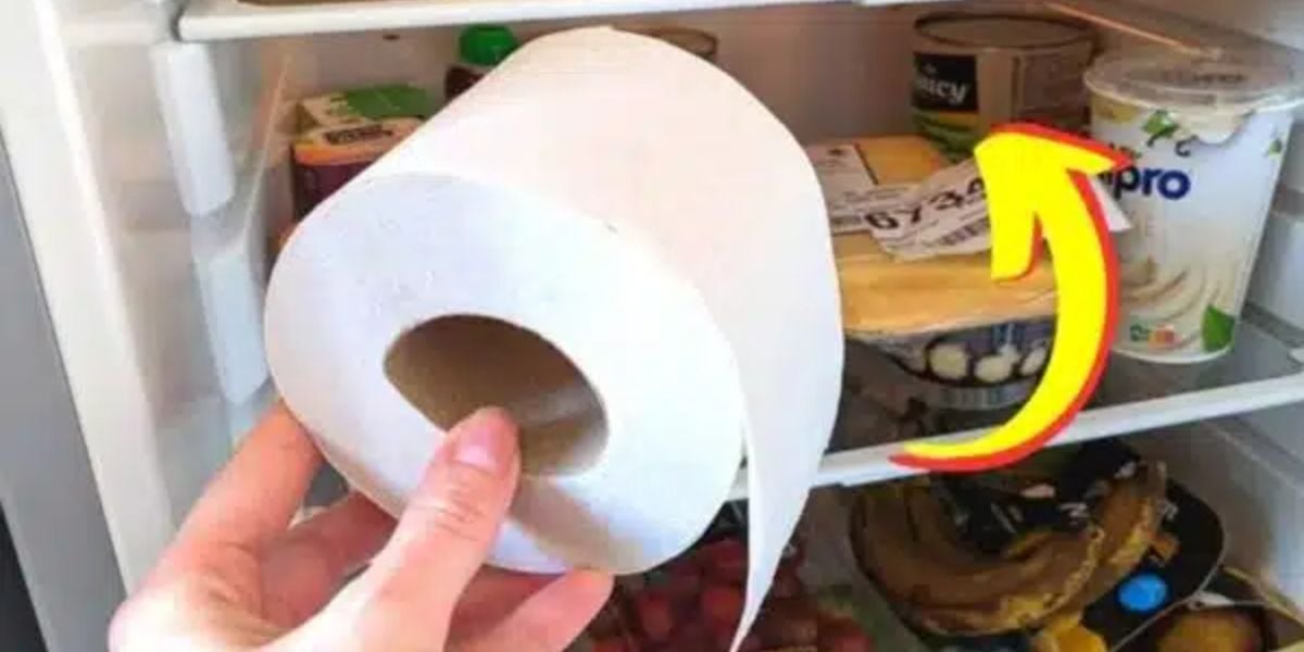 Pessoas estão colocando papel higiênico na geladeira por este motivo - Foto Reprodução Internet