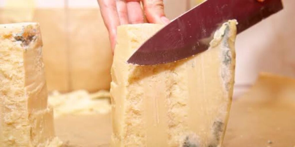 Queijo contaminado (Reprodução/Internet)